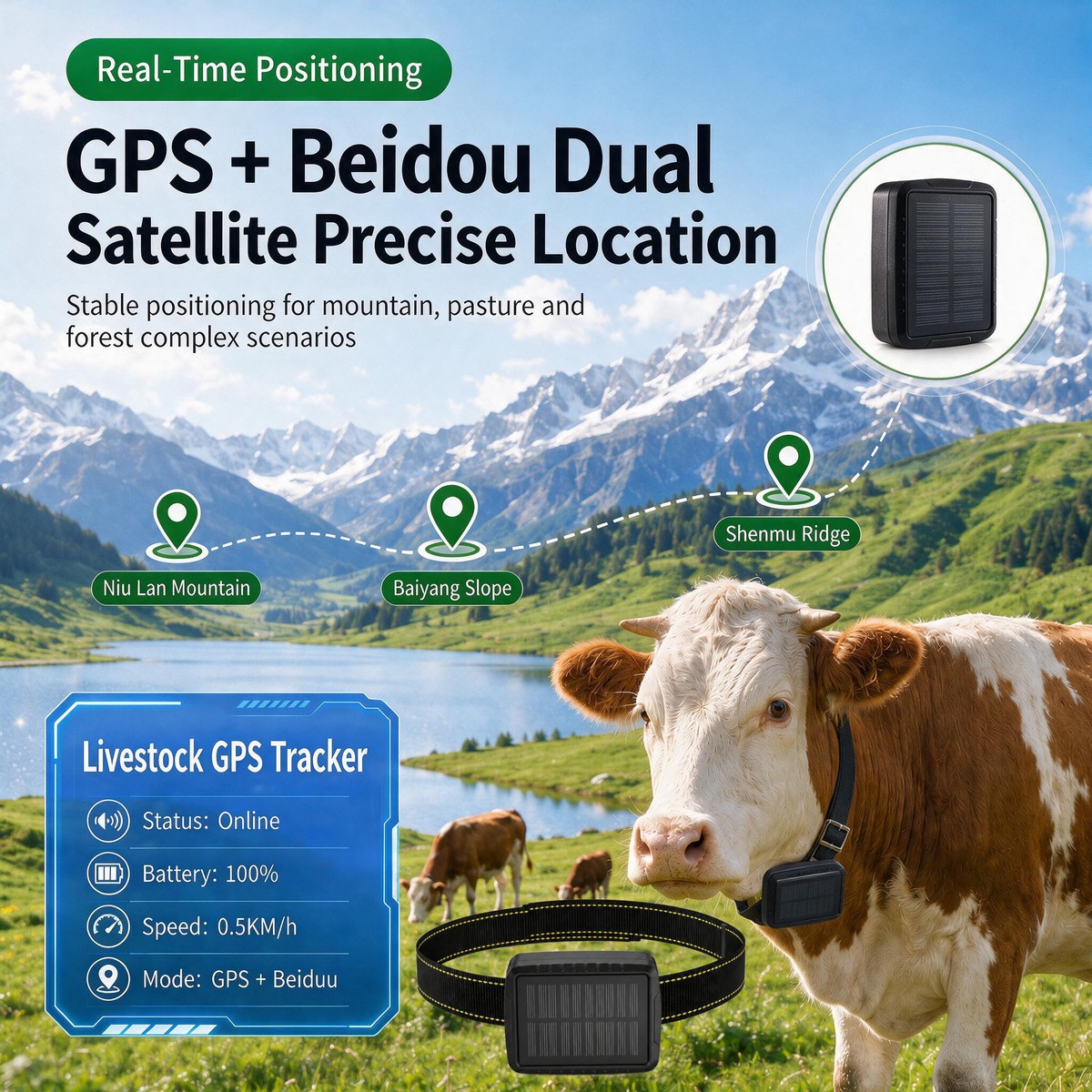 Solar cattle GPS tracker anti-lost collar for farm grazing livestock