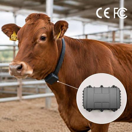 Long standby solar cattle GPS tracker with rechargeable battery